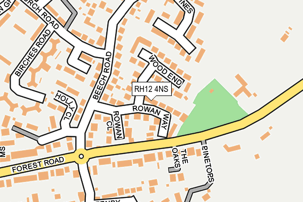 RH12 4NS map - OS OpenMap – Local (Ordnance Survey)