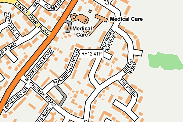 RH12 4TP map - OS OpenMap – Local (Ordnance Survey)