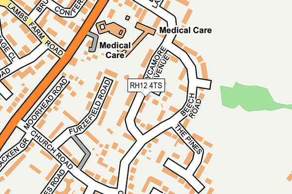 RH12 4TS map - OS OpenMap – Local (Ordnance Survey)