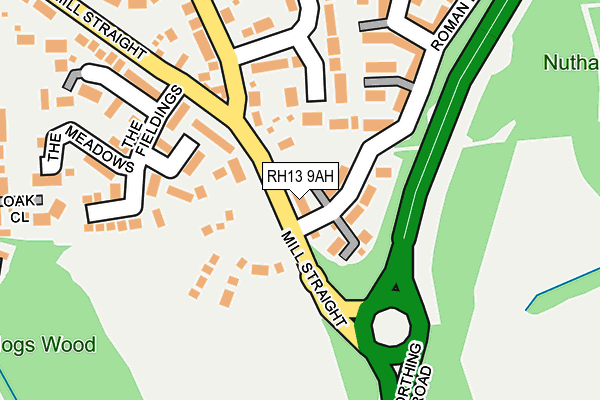 RH13 9AH map - OS OpenMap – Local (Ordnance Survey)