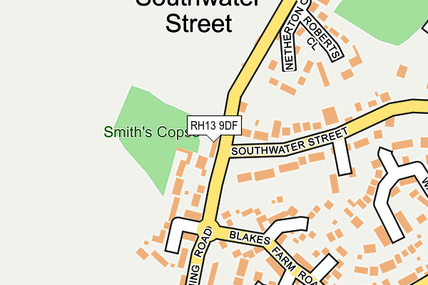 RH13 9DF map - OS OpenMap – Local (Ordnance Survey)
