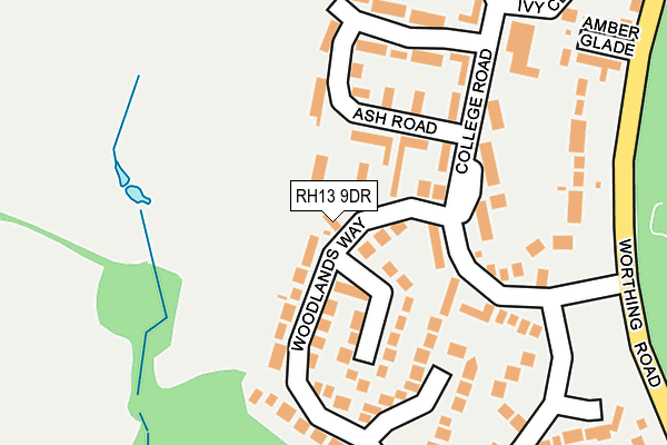RH13 9DR map - OS OpenMap – Local (Ordnance Survey)