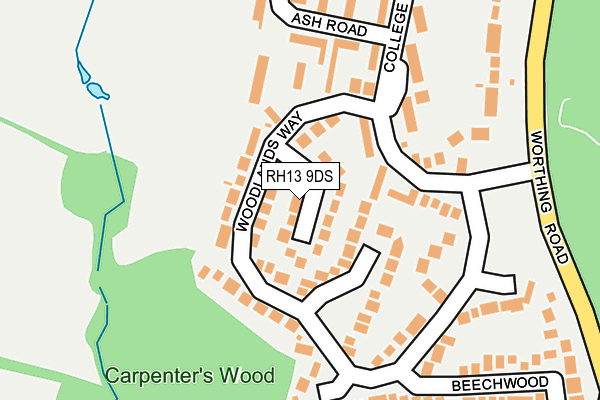 RH13 9DS map - OS OpenMap – Local (Ordnance Survey)