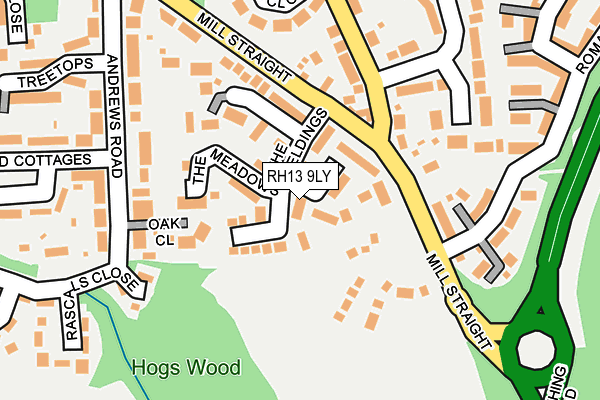 RH13 9LY map - OS OpenMap – Local (Ordnance Survey)