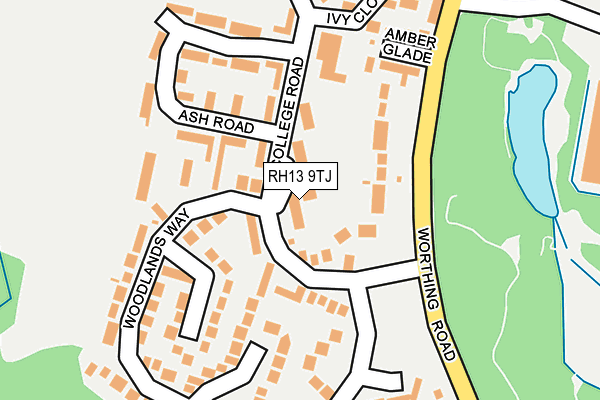 RH13 9TJ map - OS OpenMap – Local (Ordnance Survey)