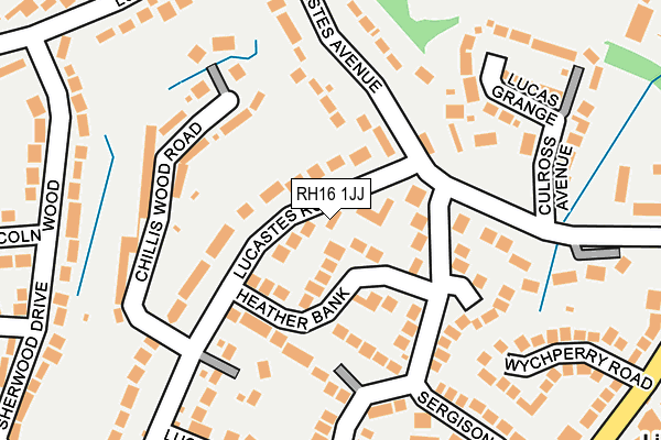 RH16 1JJ map - OS OpenMap – Local (Ordnance Survey)