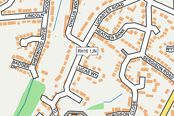 RH16 1JN map - OS OpenMap – Local (Ordnance Survey)