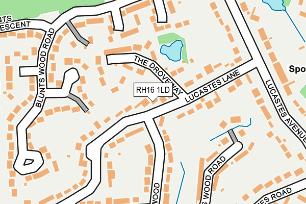 RH16 1LD map - OS OpenMap – Local (Ordnance Survey)
