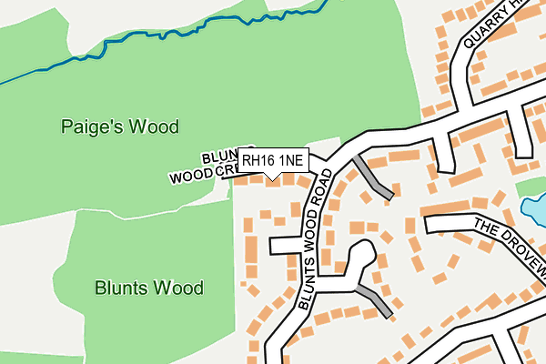 RH16 1NE map - OS OpenMap – Local (Ordnance Survey)