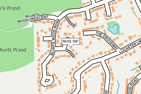 RH16 1NF map - OS OpenMap – Local (Ordnance Survey)