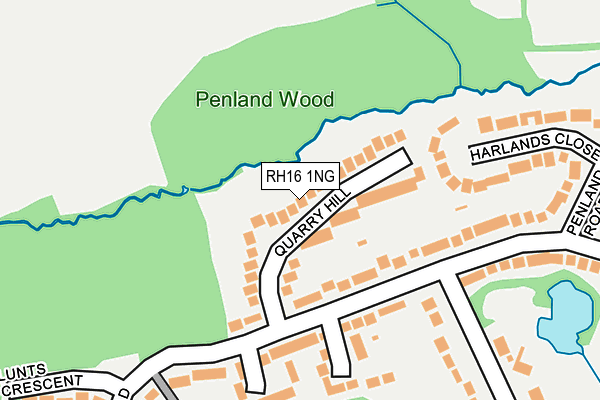 RH16 1NG map - OS OpenMap – Local (Ordnance Survey)