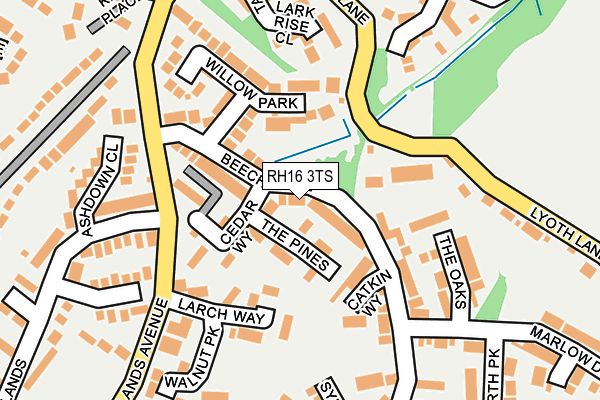 RH16 3TS map - OS OpenMap – Local (Ordnance Survey)