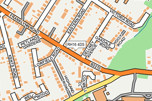 RH16 4DS map - OS OpenMap – Local (Ordnance Survey)