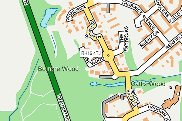 RH16 4TJ map - OS OpenMap – Local (Ordnance Survey)
