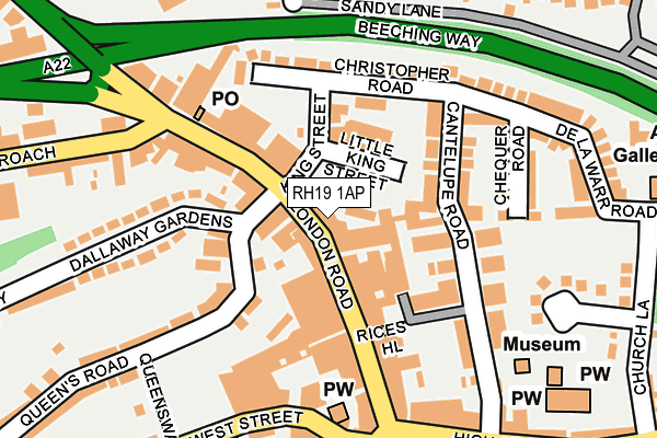 RH19 1AP map - OS OpenMap – Local (Ordnance Survey)