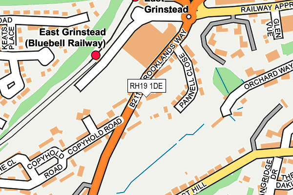 RH19 1DE map - OS OpenMap – Local (Ordnance Survey)