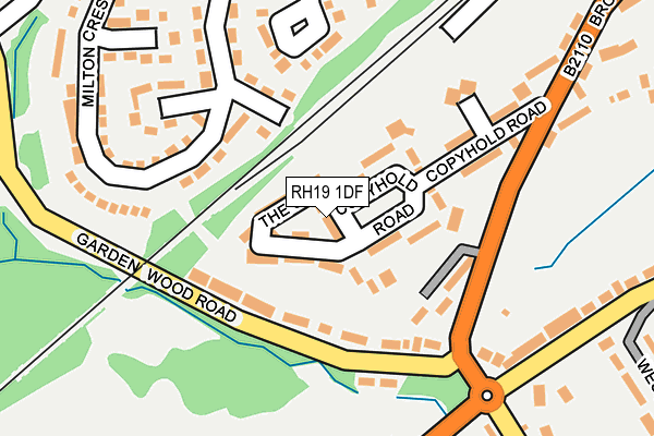 RH19 1DF map - OS OpenMap – Local (Ordnance Survey)