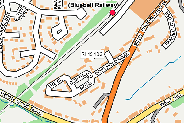 RH19 1DG map - OS OpenMap – Local (Ordnance Survey)