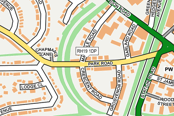 RH19 1DP map - OS OpenMap – Local (Ordnance Survey)