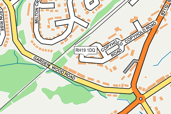 RH19 1DQ map - OS OpenMap – Local (Ordnance Survey)