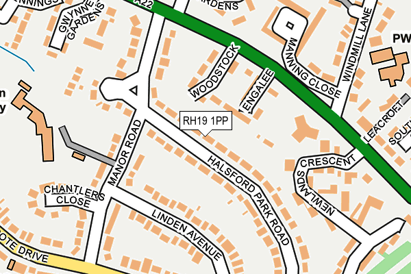 RH19 1PP map - OS OpenMap – Local (Ordnance Survey)