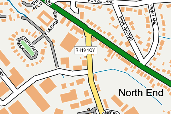RH19 1QY map - OS OpenMap – Local (Ordnance Survey)