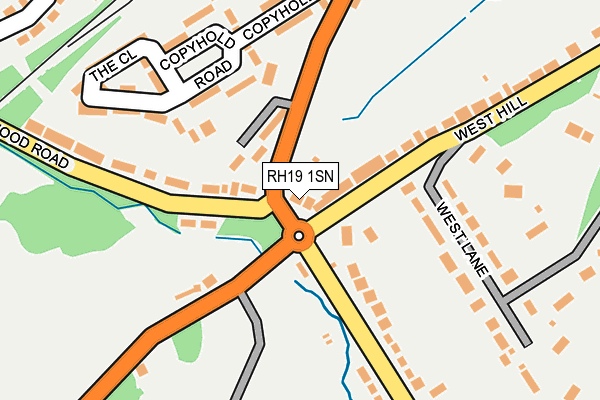 RH19 1SN map - OS OpenMap – Local (Ordnance Survey)