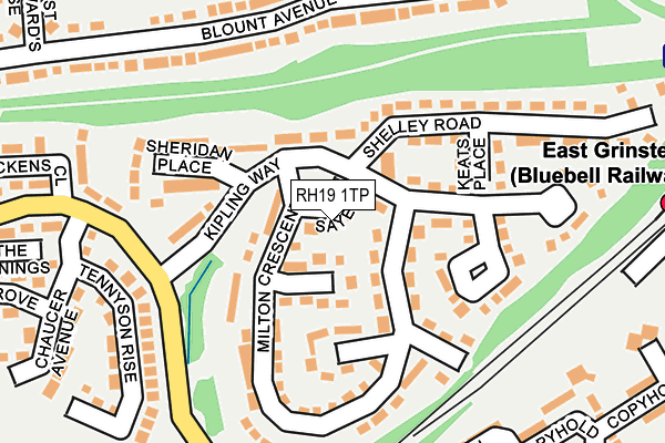 RH19 1TP map - OS OpenMap – Local (Ordnance Survey)