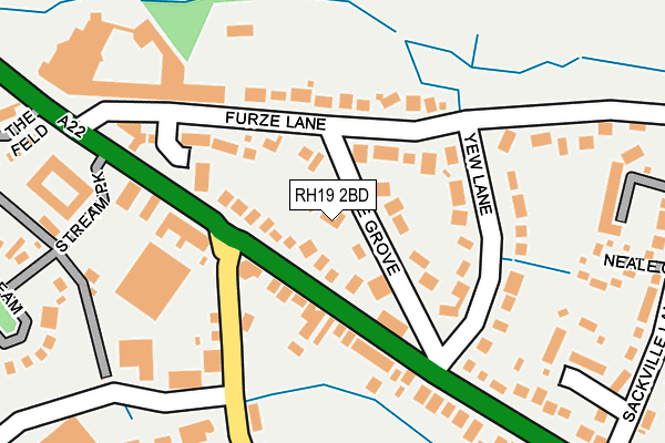 RH19 2BD map - OS OpenMap – Local (Ordnance Survey)