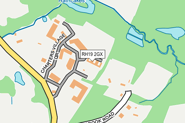 RH19 2GX map - OS OpenMap – Local (Ordnance Survey)