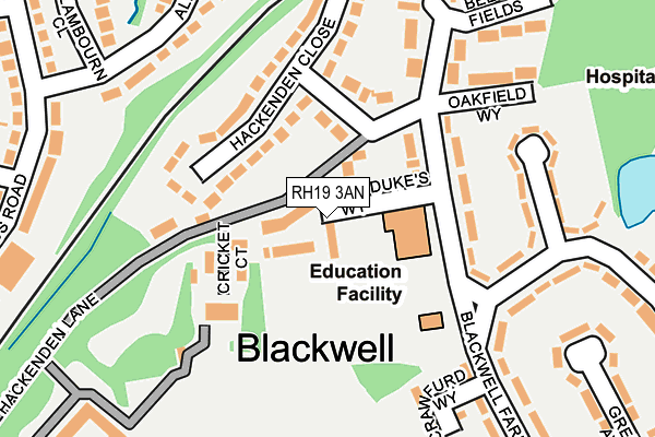 RH19 3AN map - OS OpenMap – Local (Ordnance Survey)