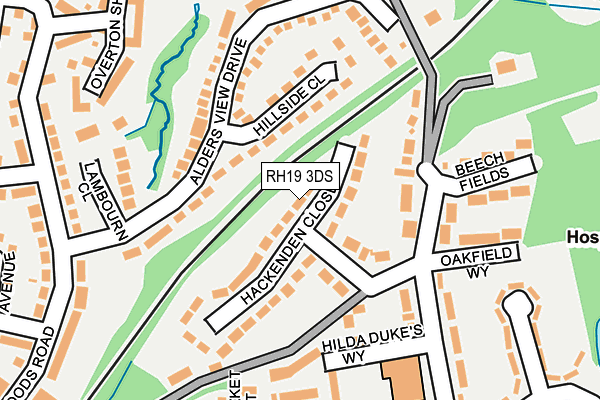 RH19 3DS map - OS OpenMap – Local (Ordnance Survey)