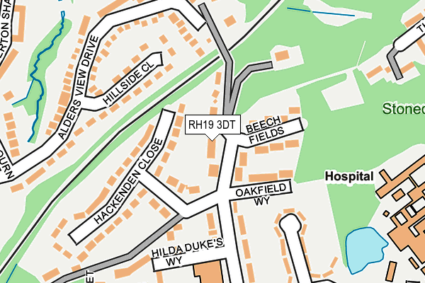 RH19 3DT map - OS OpenMap – Local (Ordnance Survey)