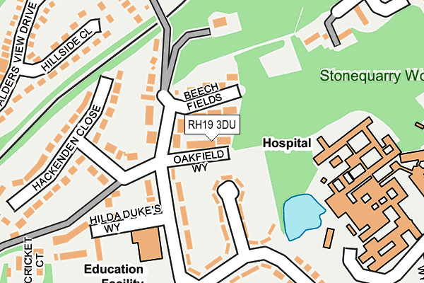 RH19 3DU map - OS OpenMap – Local (Ordnance Survey)