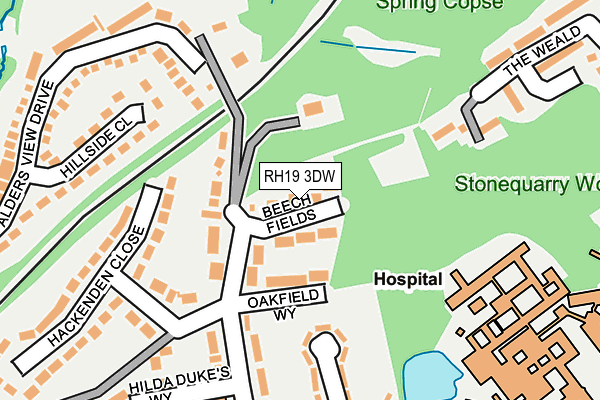 RH19 3DW map - OS OpenMap – Local (Ordnance Survey)