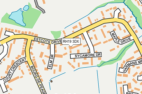 RH19 3DX map - OS OpenMap – Local (Ordnance Survey)