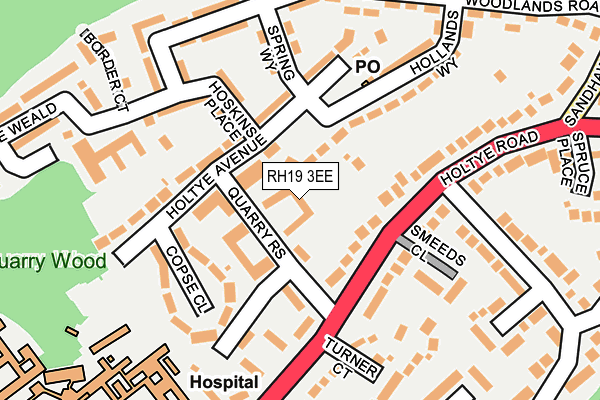 RH19 3EE map - OS OpenMap – Local (Ordnance Survey)