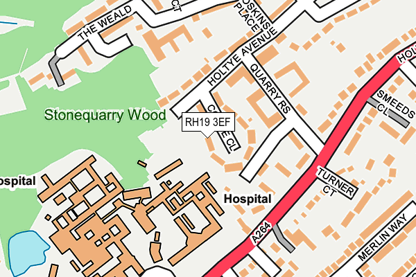 RH19 3EF map - OS OpenMap – Local (Ordnance Survey)