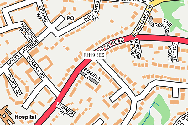 RH19 3ES map - OS OpenMap – Local (Ordnance Survey)