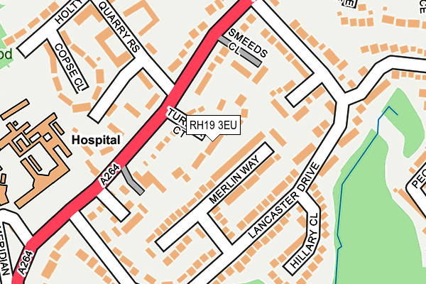 RH19 3EU map - OS OpenMap – Local (Ordnance Survey)