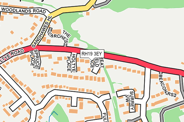 RH19 3EY map - OS OpenMap – Local (Ordnance Survey)