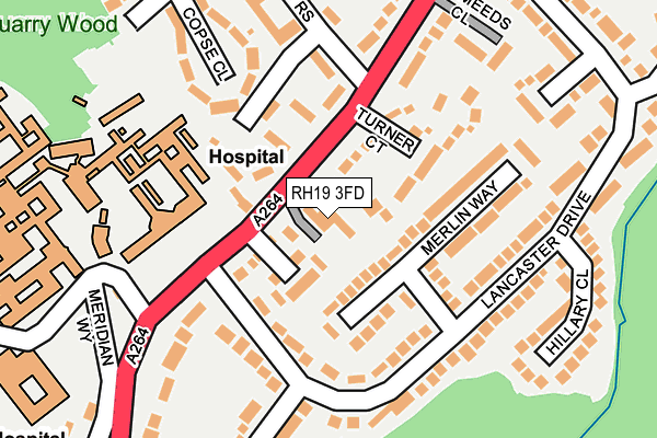 RH19 3FD map - OS OpenMap – Local (Ordnance Survey)