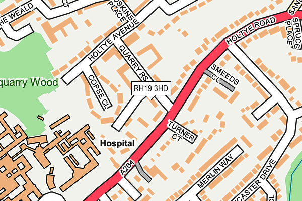 RH19 3HD map - OS OpenMap – Local (Ordnance Survey)