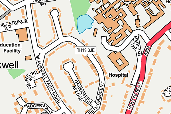 RH19 3JE map - OS OpenMap – Local (Ordnance Survey)
