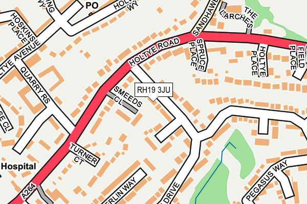 RH19 3JU map - OS OpenMap – Local (Ordnance Survey)