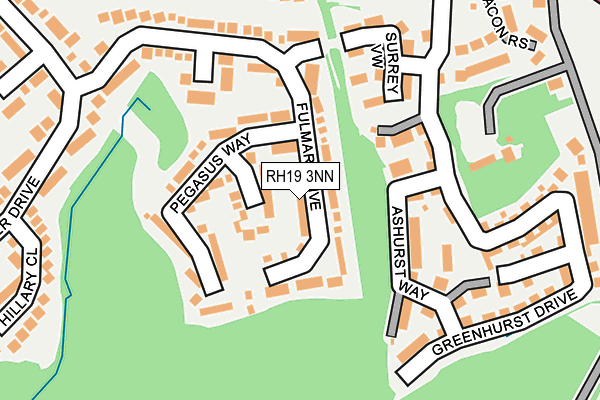 RH19 3NN map - OS OpenMap – Local (Ordnance Survey)