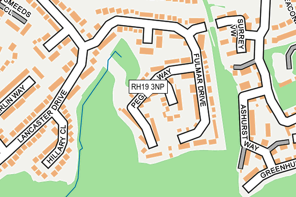 RH19 3NP map - OS OpenMap – Local (Ordnance Survey)