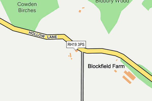 RH19 3PS map - OS OpenMap – Local (Ordnance Survey)
