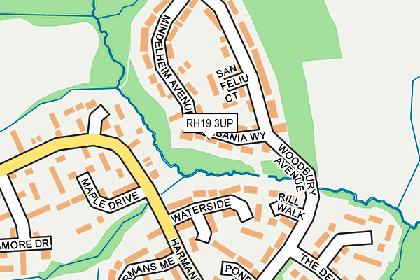 RH19 3UP map - OS OpenMap – Local (Ordnance Survey)