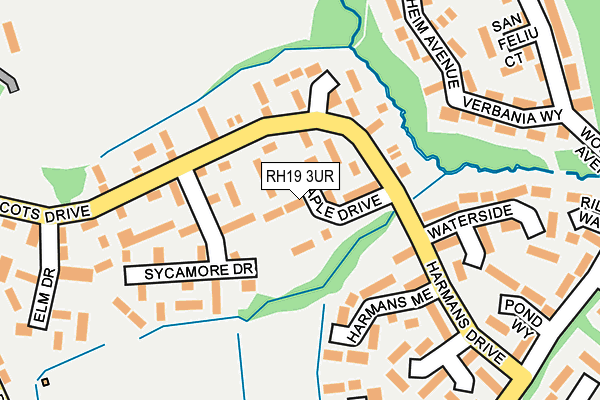 RH19 3UR map - OS OpenMap – Local (Ordnance Survey)